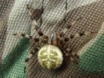 /album/araneidae/araneus-quadratus-kriziak-stvorskvrnny-jpg/